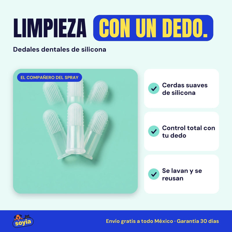 Set de 6 dedales dentales de silicona Soyia
