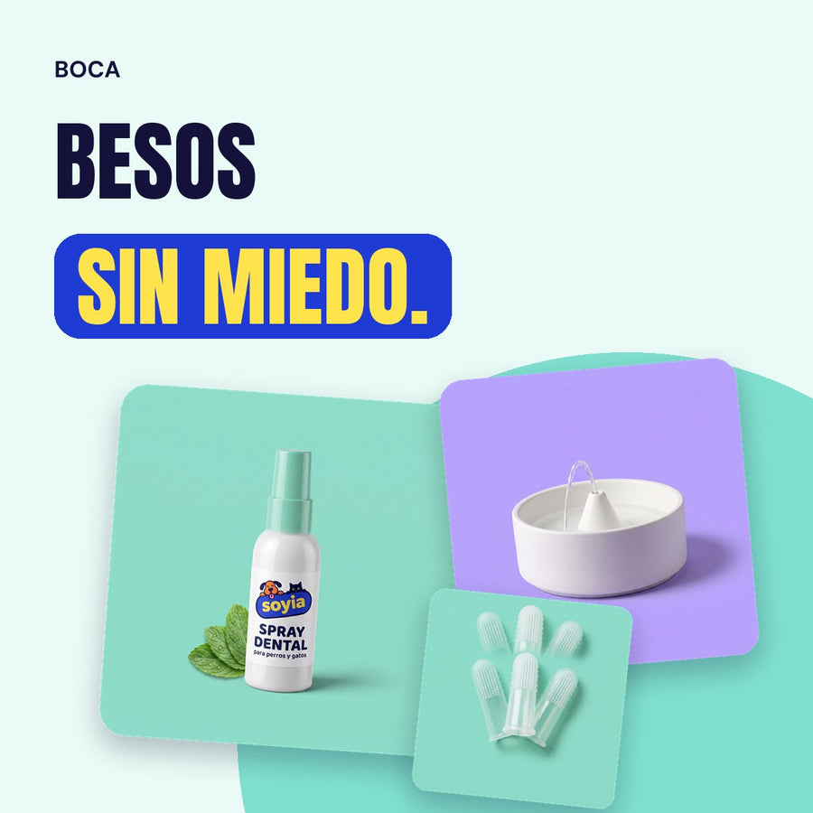 Boca