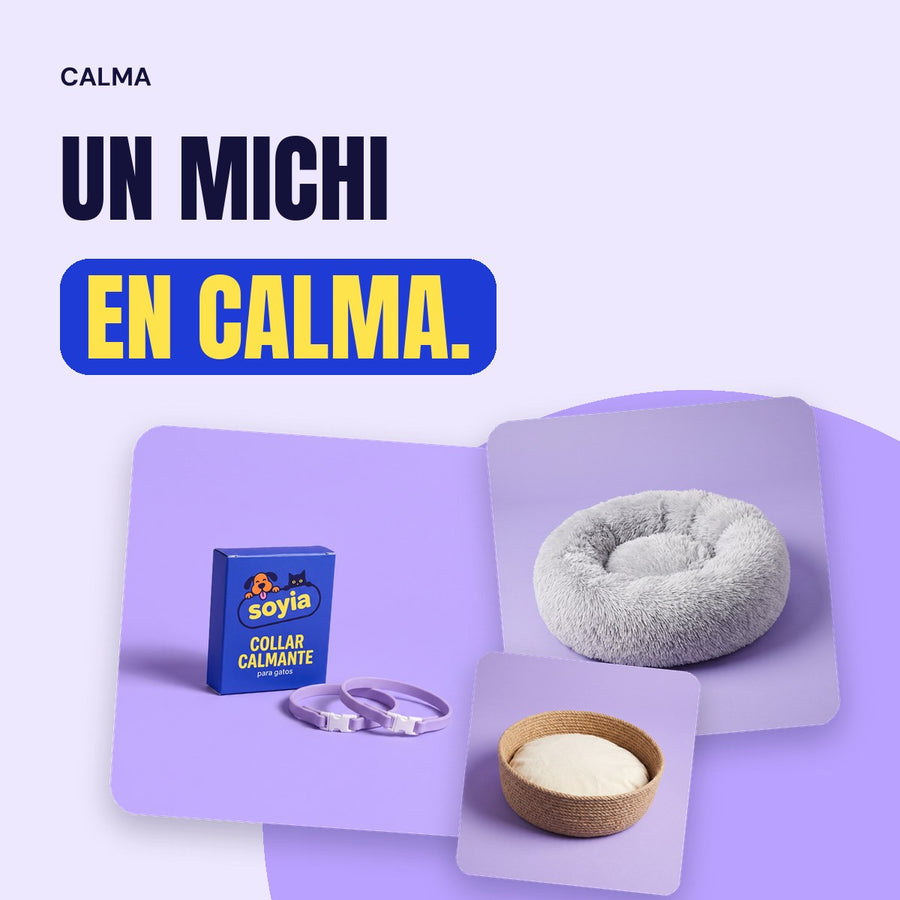 Calma