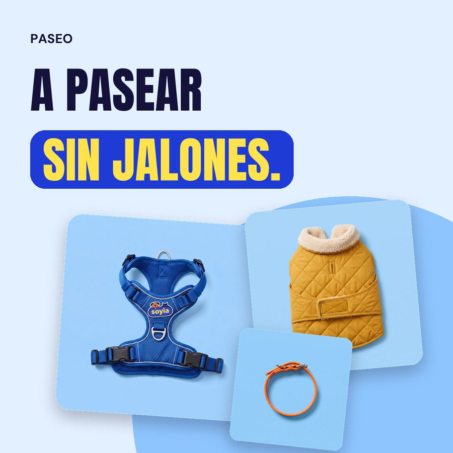 Paseo