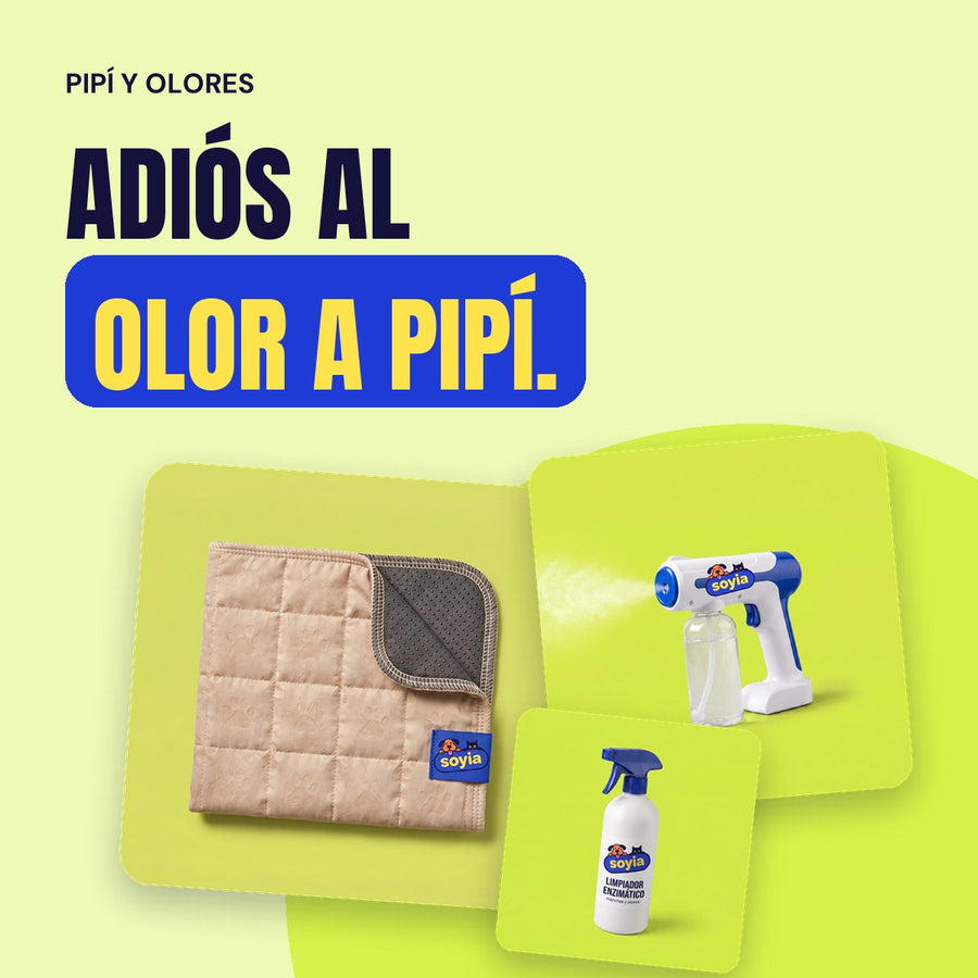 Pipí y olores