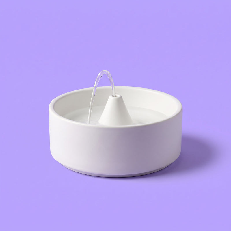 Fuente de agua para gato Soyia blanca con chorrito de agua