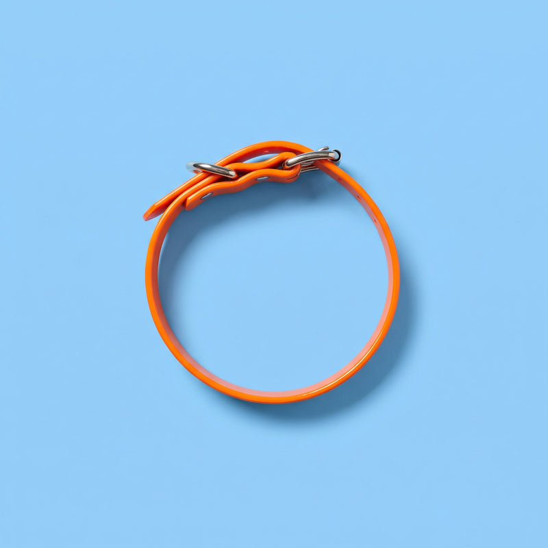 Collar impermeable Soyia naranja con hebilla de acero inoxidable