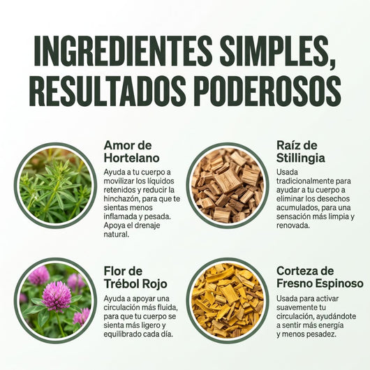Soyia™ | Gotas de Drenaje Linfático