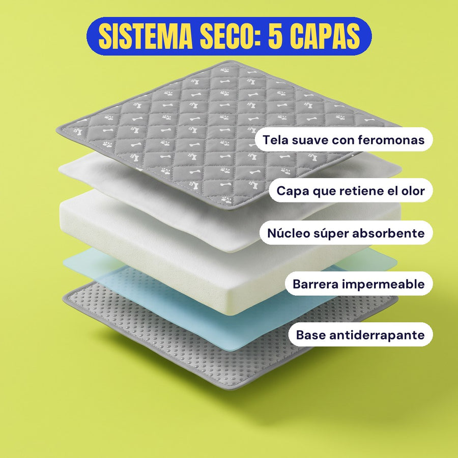 5 capas