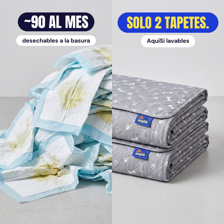 ~90 al mes: desechables a la basura. Solo 2 tapetes.