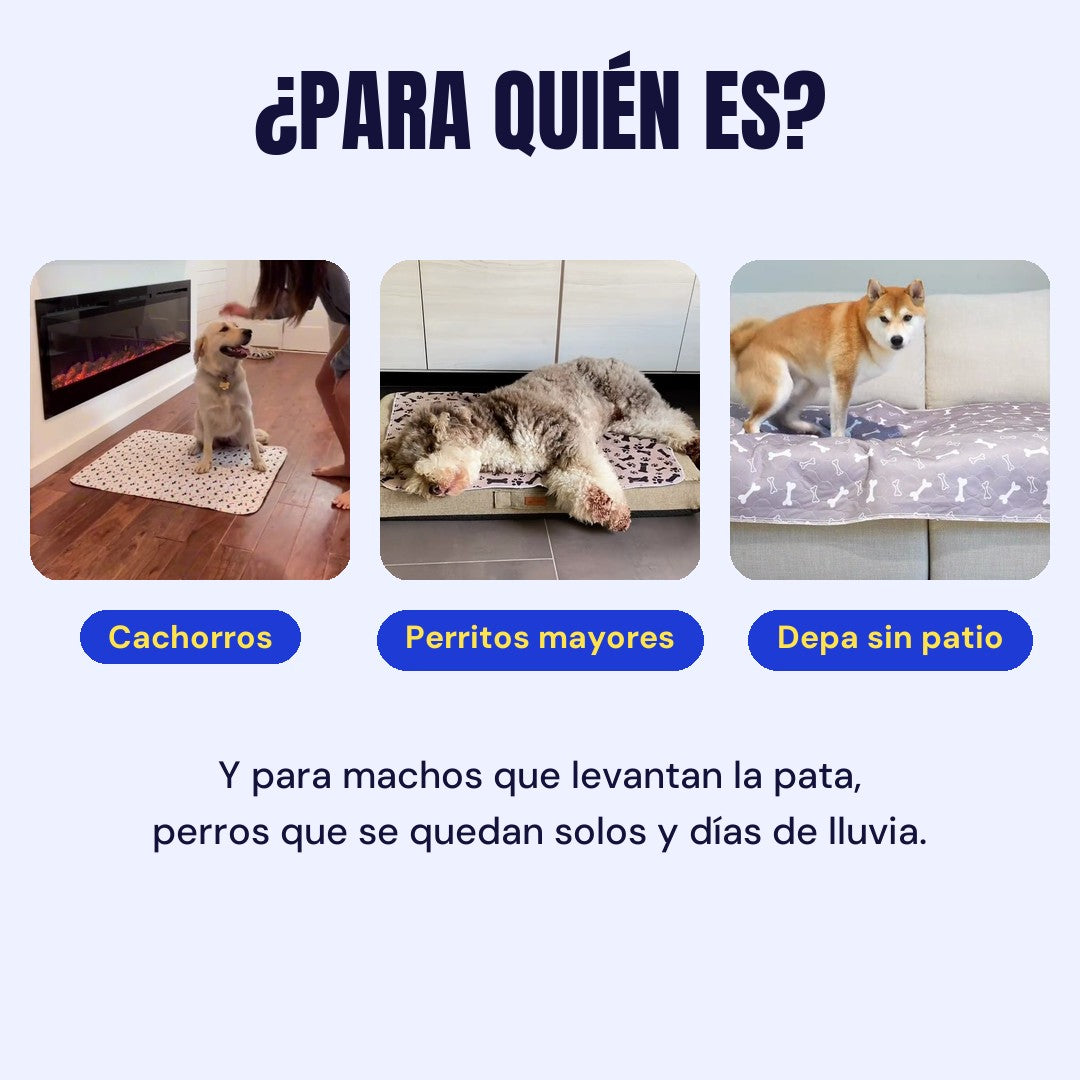 ¿Para quién es? Cachorros, perritos mayores, depa sin patio