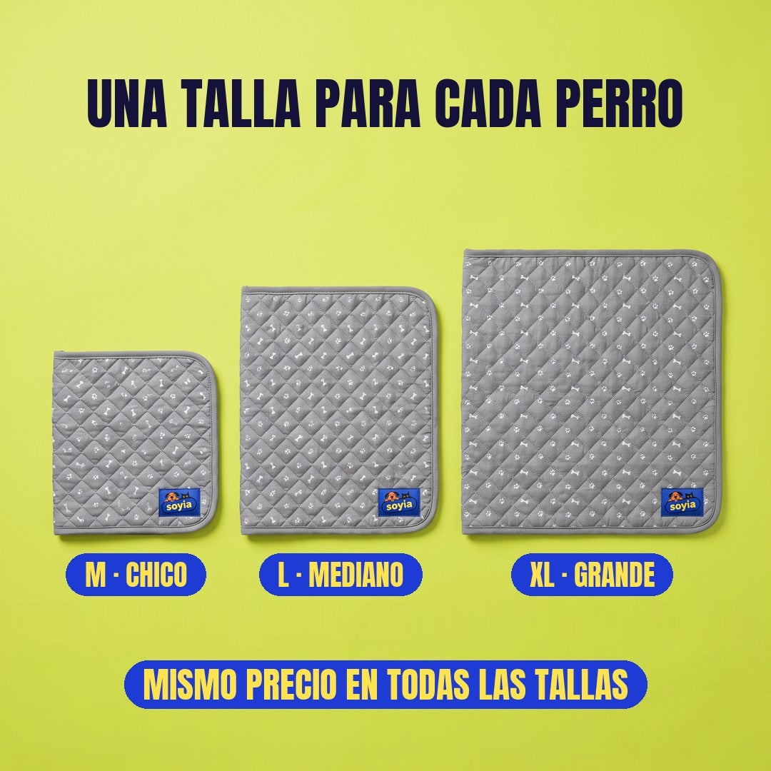 Una talla para cada perro