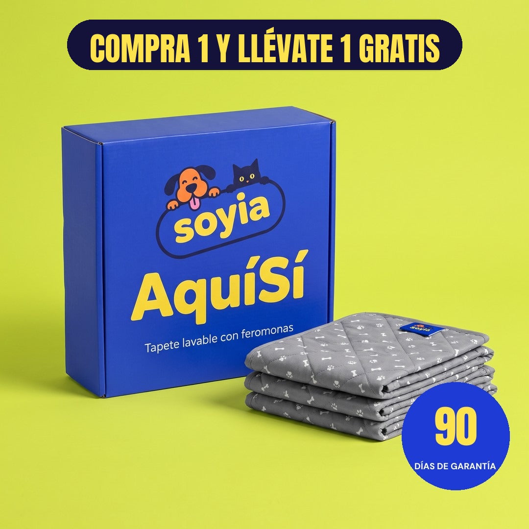 Compra 1 y llévate 1 gratis