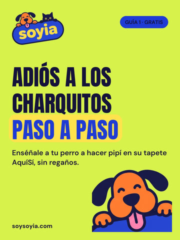 Guía 1 · Adiós a los charquitos, paso a paso