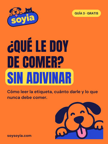 Guía 3 · ¿Qué le doy de comer? Sin adivinar